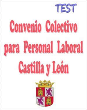 test convenio colectivo personal laboral Castilla y León