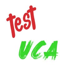 Test Estatutos universidad Cadiz