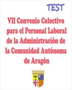 test del VII Convenio colectivo para personal laboral Aragón