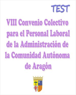 test VIII Convenio colectivo personal laboral Aragón